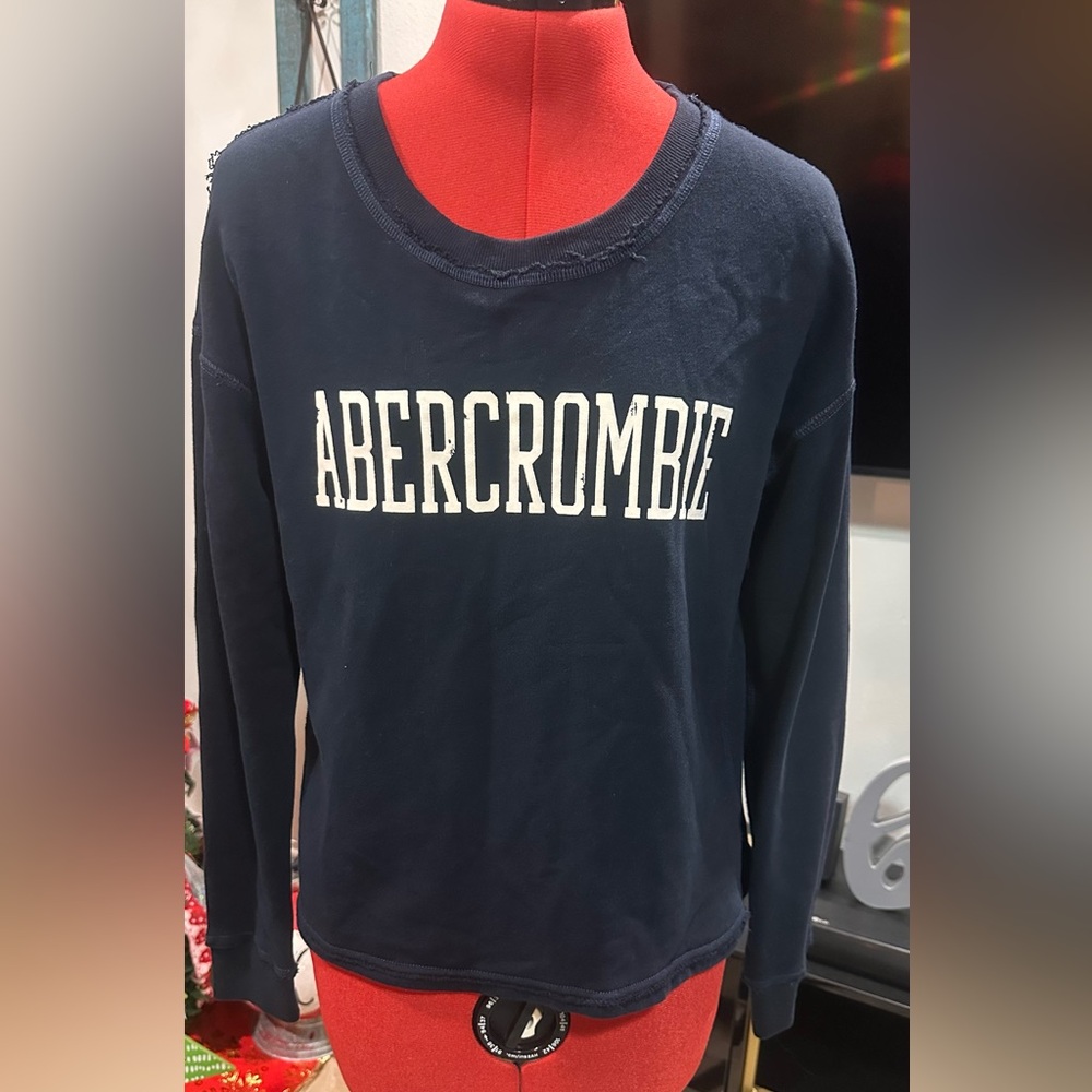 Abercrombie & Fitch Navy Sweatshirt
